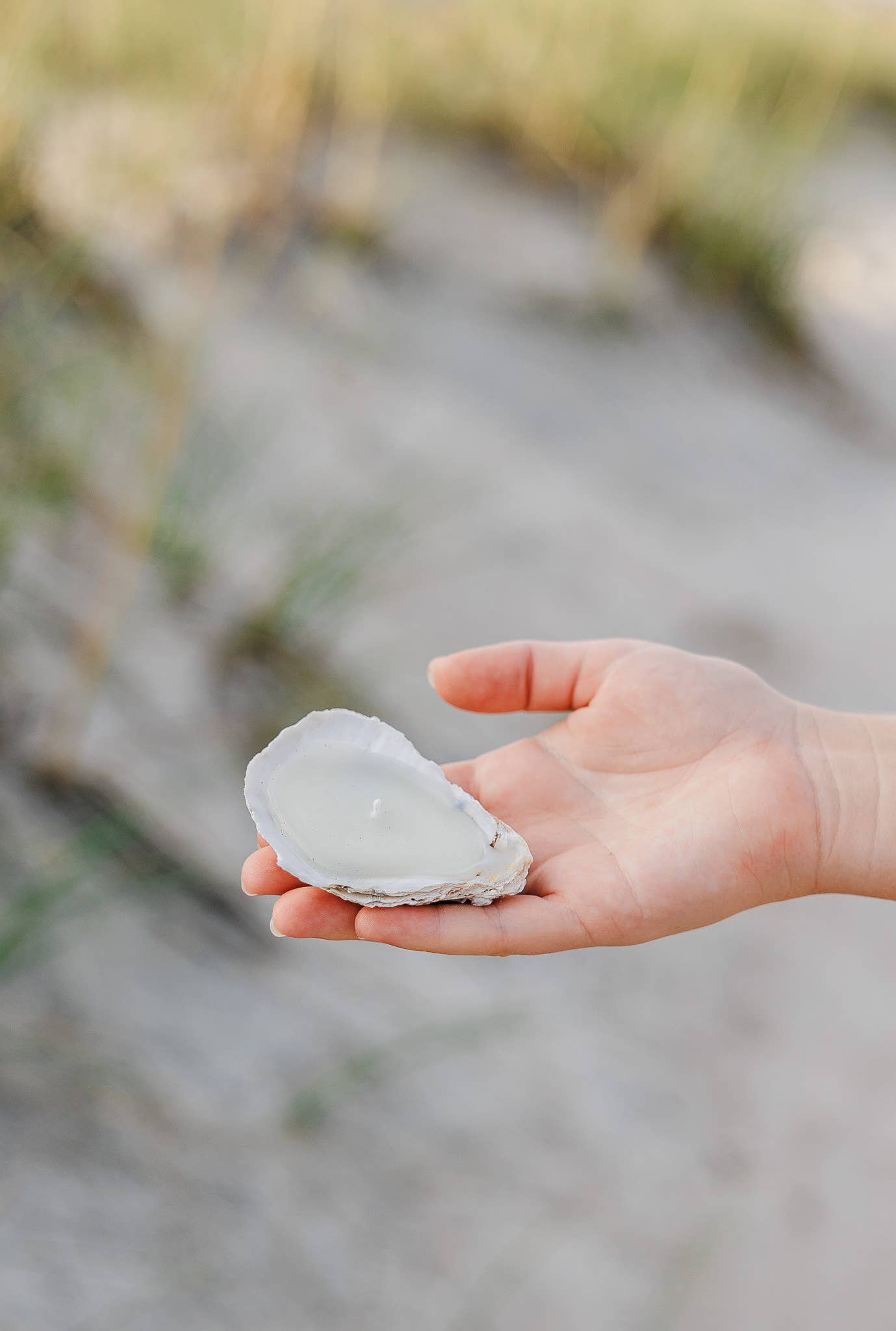 Oyster Shell Candle