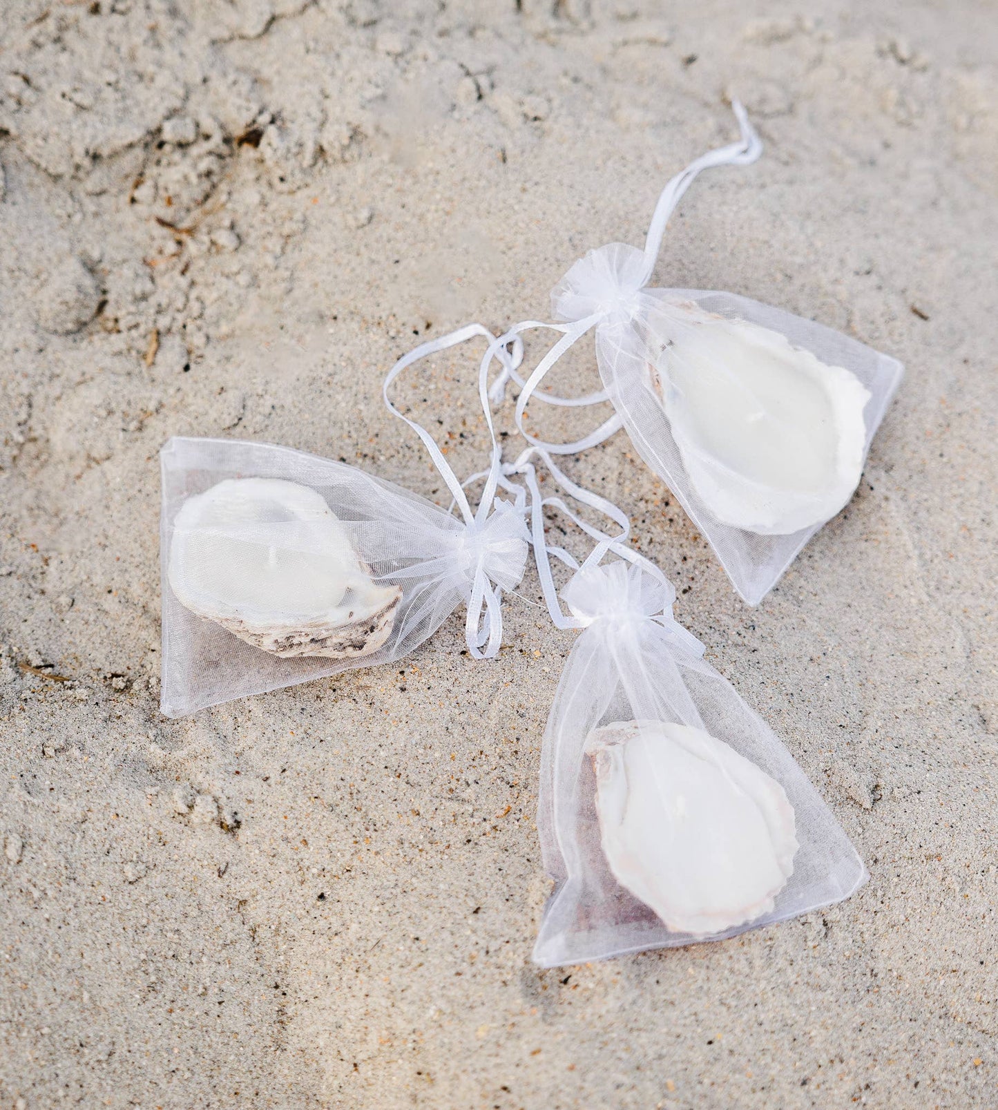 Oyster Shell Candle