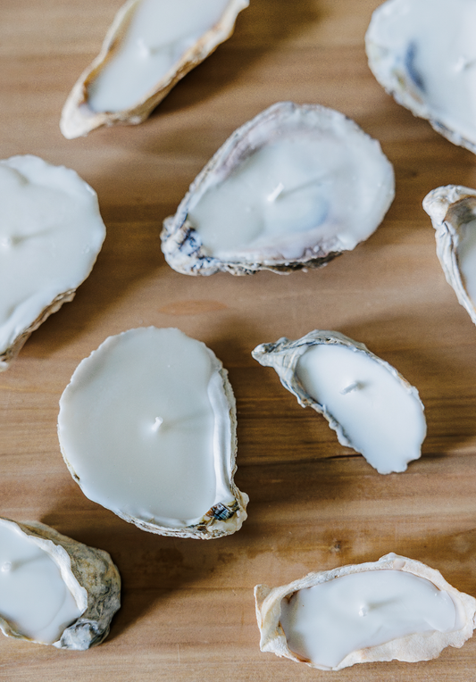 Oyster Shell Candle
